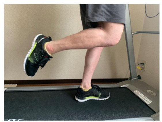 試しに走ってる写真